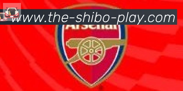 世博体育官网合作伙伴