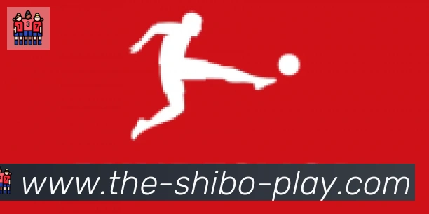 世博体育官网合作伙伴